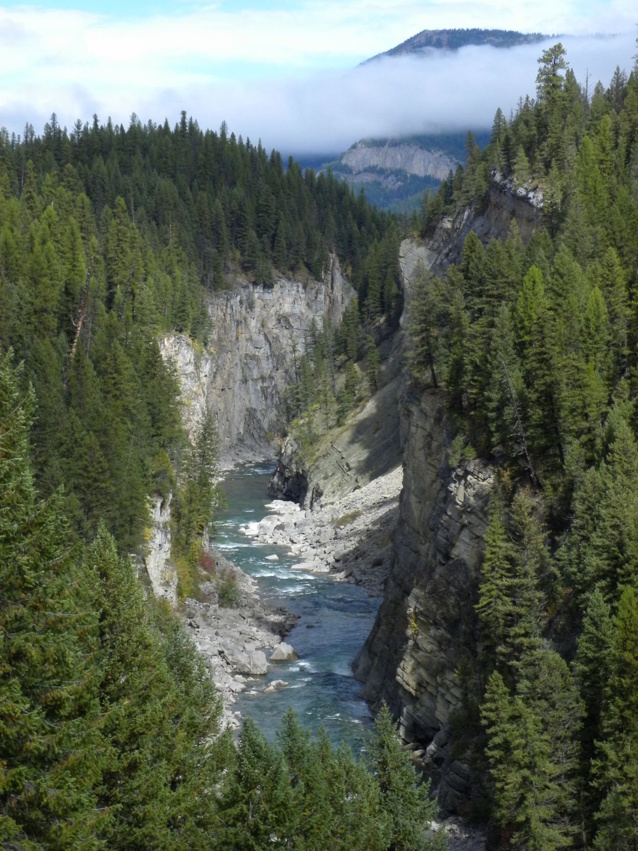 South Fork Flathead